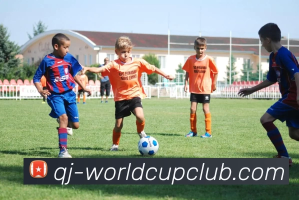 多媒体互动体验